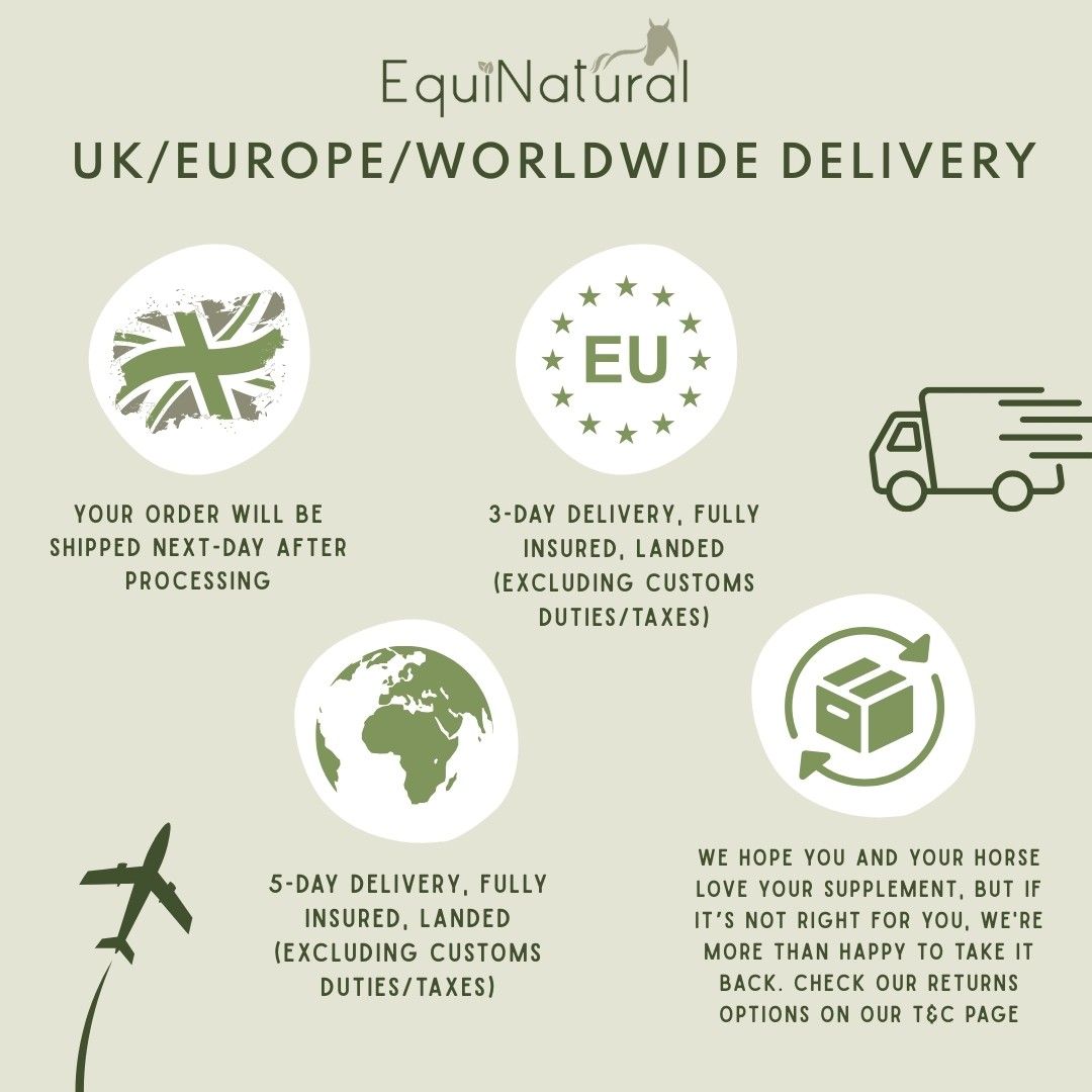 MSM?CHRISTMAS SALE! *Nutrient for horses - natural sulphur support for joints, soft tissues, hooves, and skin