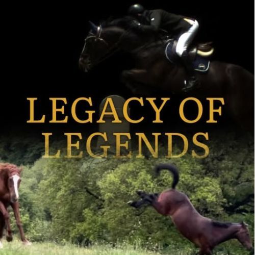 LEGENDS-METATONIC *EMS support