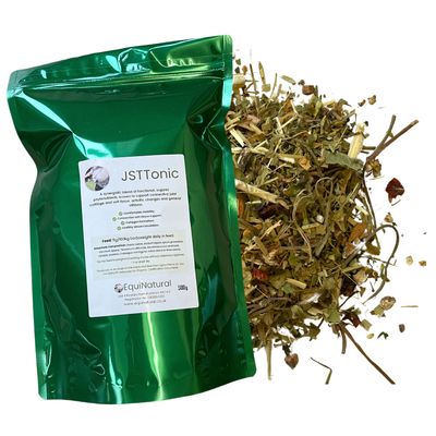 JSTTONIC (Joint & Soft Tissue) *Natural organic support for connective tissue, navicular, and arthritic changes