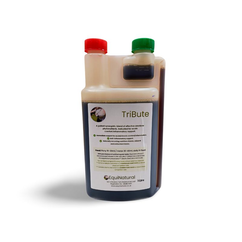 TRIBUTE *Fast-acting support for acute and chronic discomfort / inflammation