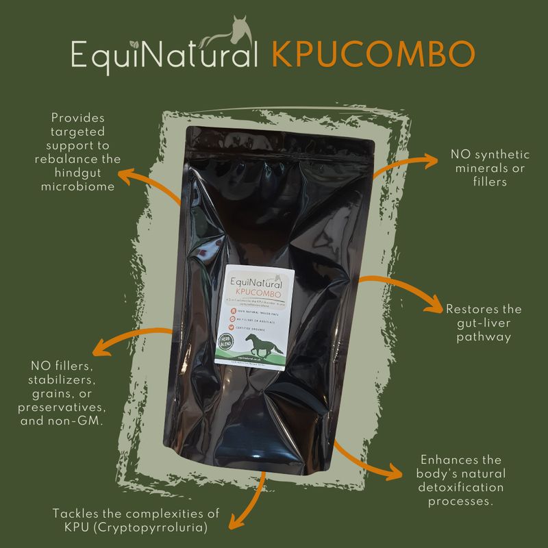 KPUCOMBO *Organic Herbal Blend for Horses - a comprehensive 5-in-1 nutritional support for the equine KPU disorder KPUCOMBO *Organic Herbal Blend for Horses - a comprehensive 5-in-1 nutritional support for the equine KPU disorder