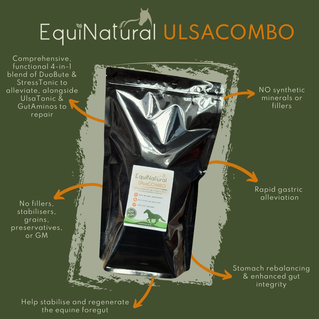 ULSACOMBO *Organic herbal blend for horses - a comprehensive 4-in-1 nutritional support for equine gastric ulcers ULSACOMBO *Organic herbal blend for horses - a comprehensive 4-in-1 nutritional support for equine gastric ulcers