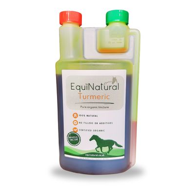 TURMERIC (Curcuma longa) *Liquid gold for natural, bioavailable, anti-inflammatory support