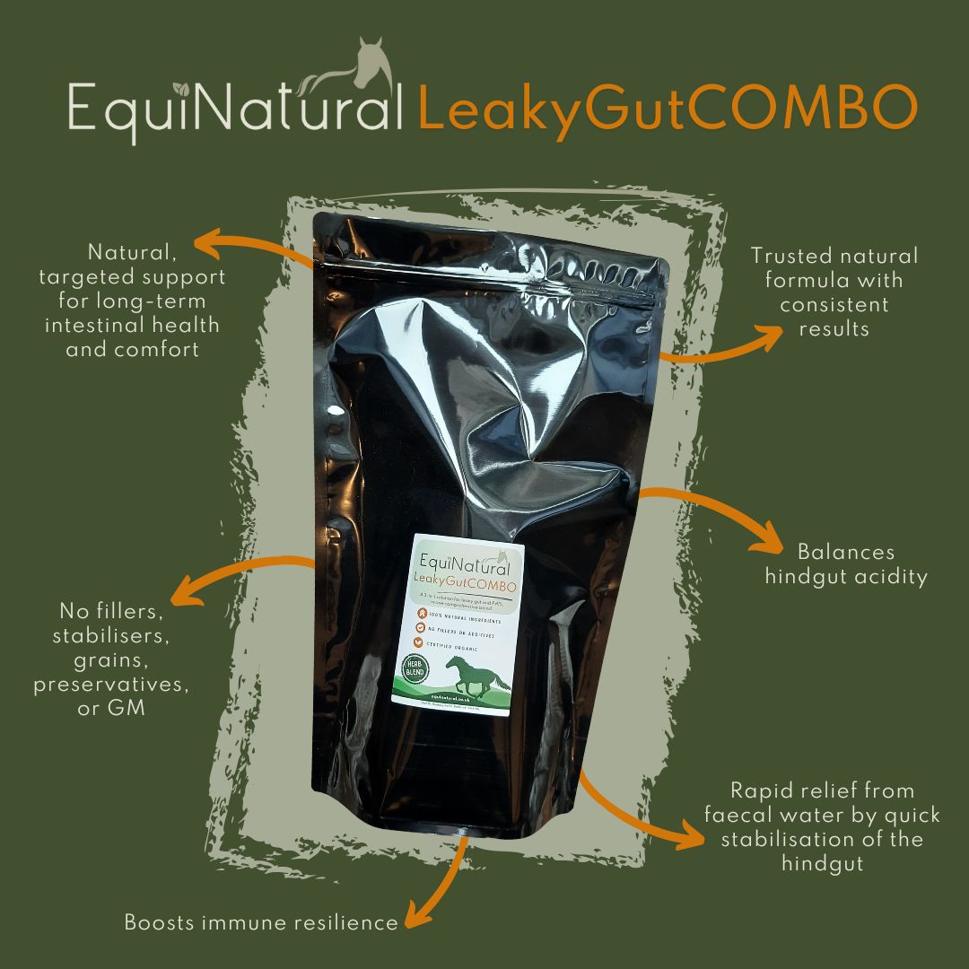 LEAKYGUTCOMBO *Organic Herbal Blend for Horses - a comprehensive 3-in-1 nutritional support for leaky gut/FWS