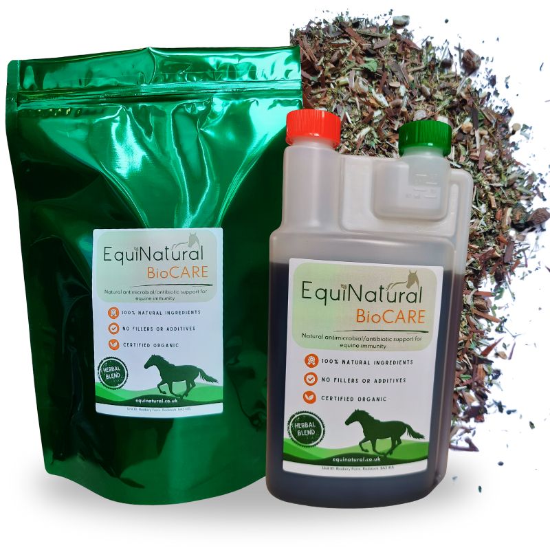 BIOCARE *Natural antimicrobial/antibiotic support for equine immunity