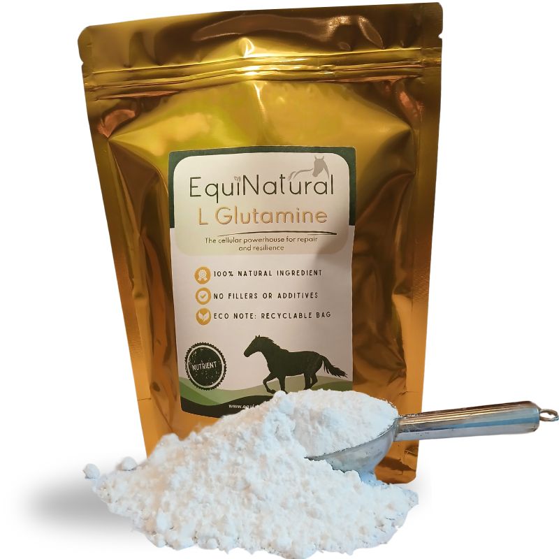 L GLUTAMINE *The  cellular powerhouse for repair and resilience