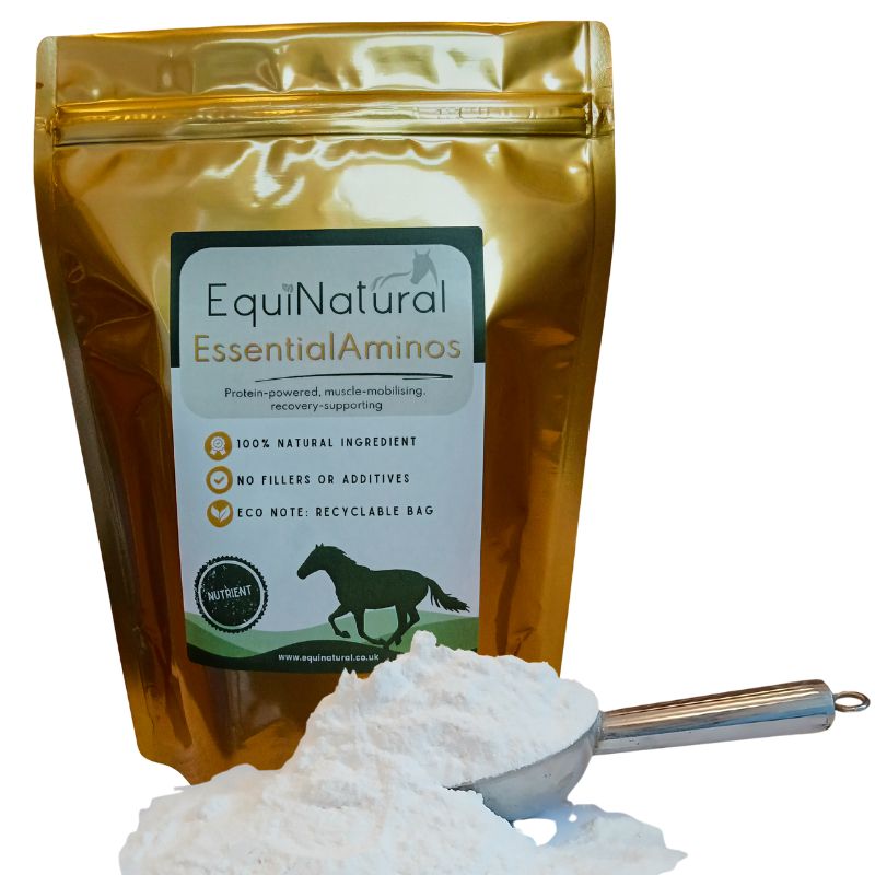 ESSENTIALAMINOS ?NOVEMBER'S 20% SALE *Protein-powered, muscle-mobilising, recovery-supporting ESSENTIALAMINOS ?NOVEMBER'S 20% SALE *Protein-powered, muscle-mobilising, recovery-supporting