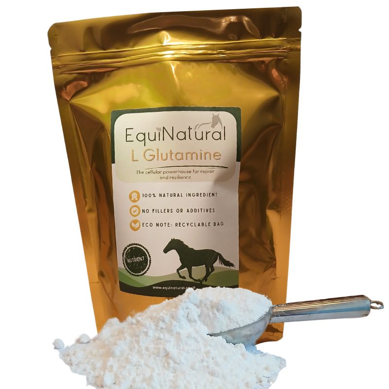 L GLUTAMINE *The  cellular powerhouse for repair and resilience