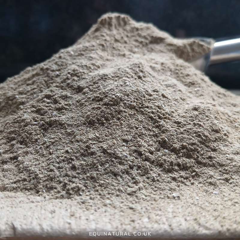 SIBOCARE ?NOVEMBER'S 20% SALE *Organic herbal blend for horses - SIBO-targeting, dysbiosis-clearing, hindgut-resetting