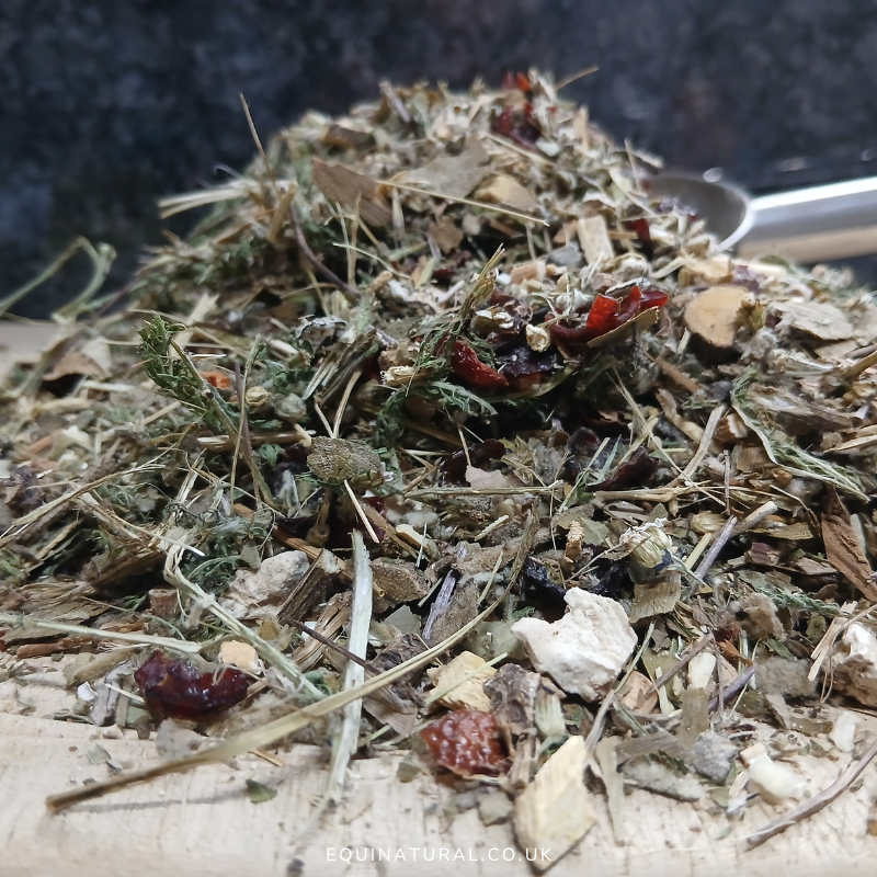 BREATHEPLUS ?NOVEMBER'S 20% SALE *Organic herbal blend for horses - airway-clearing, lung-soothing, allergy-calming