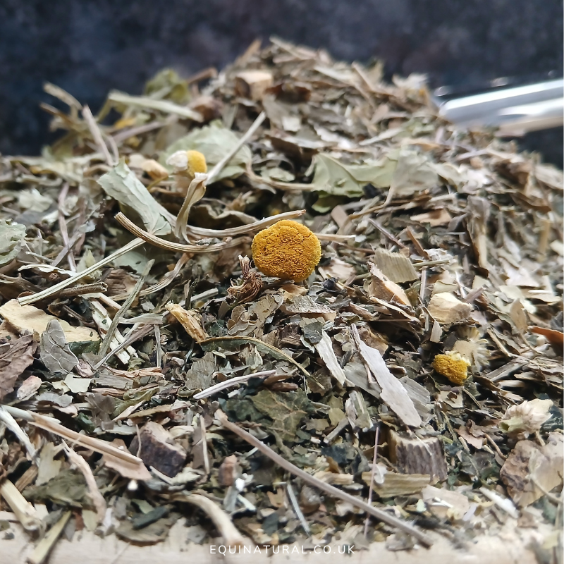 STRESSTONIC?CHRISTMAS SALE! *Organic herbal blend for horses - stress-resetting, adrenal-calming, equilibrium-restoring