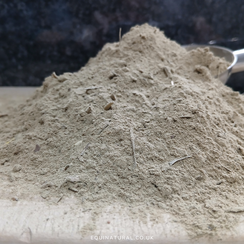 B12-BALANCE ?NOVEMBER'S 20% SALE *Organic herbal blend for horses - bioactive energy, metabolic balance, natural vitality