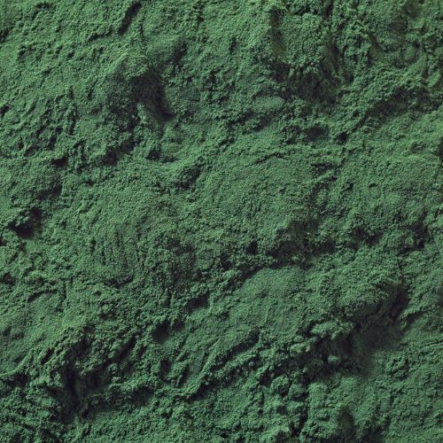 SPIRULINA ?NOVEMBER'S 20% SALE *Organic herbal blend for horses - cellular fuel, deep detox, immune strength