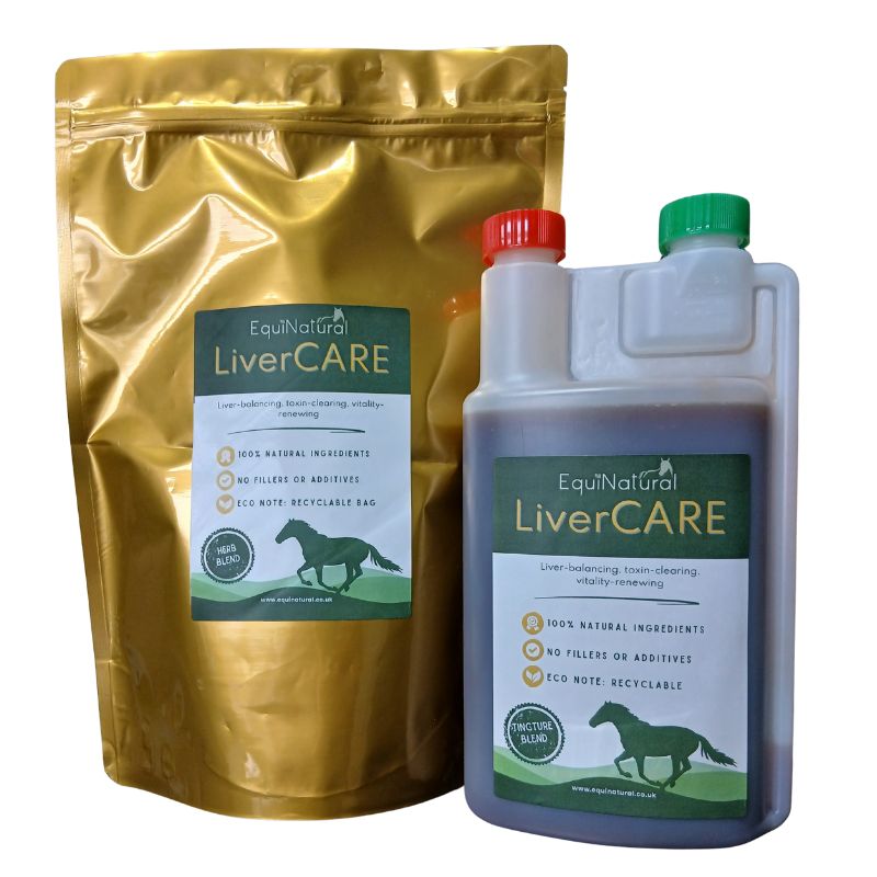 LIVERCARE *Organic herbal blend for horses - liver-balancing, toxin-clearing, vitality-renewing