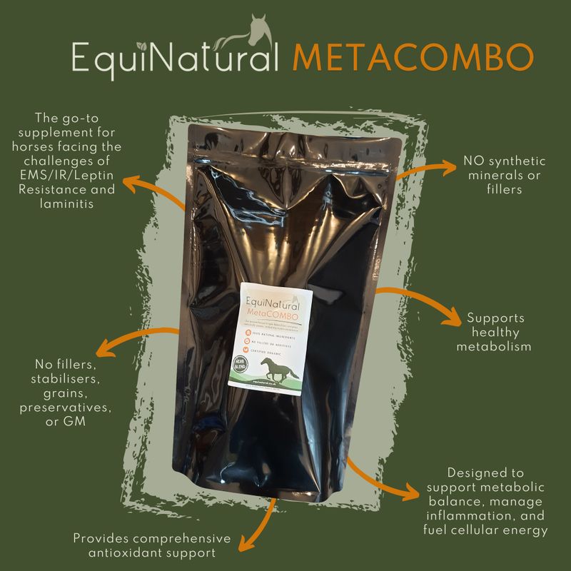 METACOMBO *Organic Herbal Blend for Horses - a comprehensive 3-in-1 nutritional support for the permanently hangry horse / stubborn crest (aka leptin resistance) METACOMBO *Organic Herbal Blend for Horses - a comprehensive 3-in-1 nutritional support for the permanently hangry horse / stubborn crest (aka leptin resistance)
