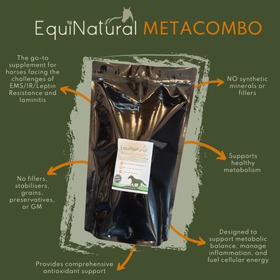 METACOMBO *Organic Herbal Blend for Horses - a comprehensive 3-in-1 nutritional support for the permanently hangry horse / stubborn crest (aka leptin resistance) METACOMBO *Organic Herbal Blend for Horses - a comprehensive 3-in-1 nutritional support for the permanently hangry horse / stubborn crest (aka leptin resistance)