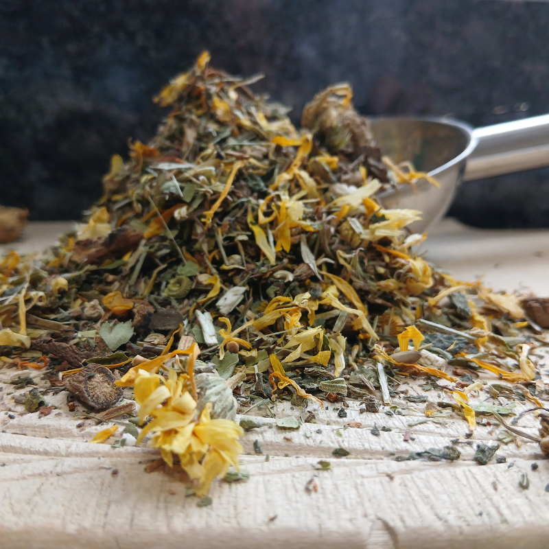 LYMPHCARE?CHRISTMAS SALE! *Organic herbal blend for horses - lymph congestion, tissue support, comfort restored