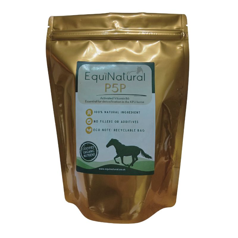 P5P Activated Vit.B6 (Pyridoxal-5-Phosphate) *Nutrient for horses - essential for liver detoxification in the KPU horse P5P Activated Vit.B6 (Pyridoxal-5-Phosphate) *Nutrient for horses - essential for liver detoxification in the KPU horse