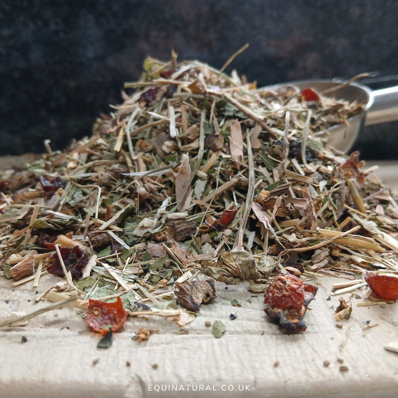 JSTTONIC ?JUNE SALE - 20%-OFF *Organic herbal blend for horses - daily arthritic-ease, joint-nourishing, comfort-restoring