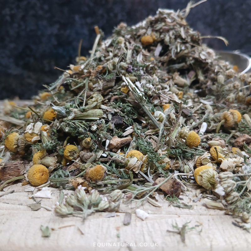 GUTBITTERS ?APRIL SALE - 20%-OFF  *Organic herbal blend for horses - all-season digestion, bitter balance, gut harmony