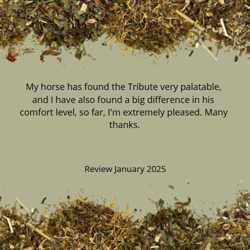 TRIBUTE?APRIL SALE - 20%-OFF *Organic herbal blend for horses - fast-acting, acute-supporting, comfort-sustaining