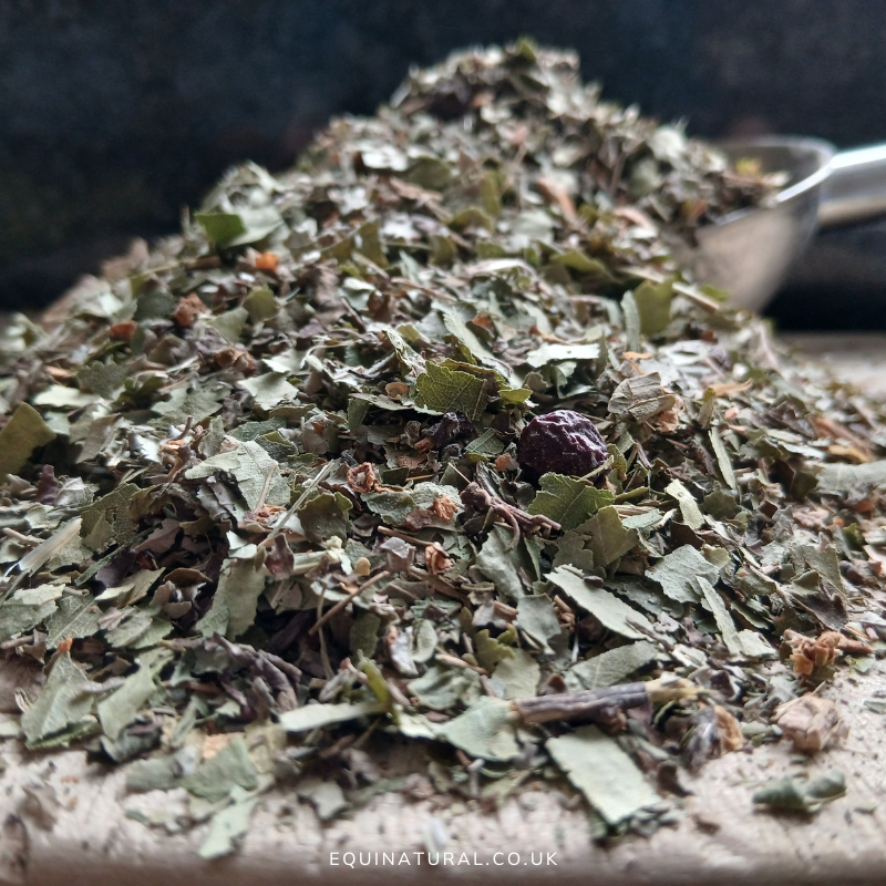 WILDFED ?APRIL SALE - 20%-OFF *Organic herbal blend for horses - nourishing the hindgut biome with fibre-rich prebiotic plant diversity