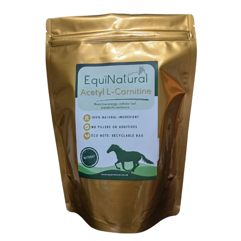 ACETYL L-CARNITINE ?APRIL SALE - 20%-OFF  *Nutrient for horses - cellular energy, healthy metabolism, balanced function