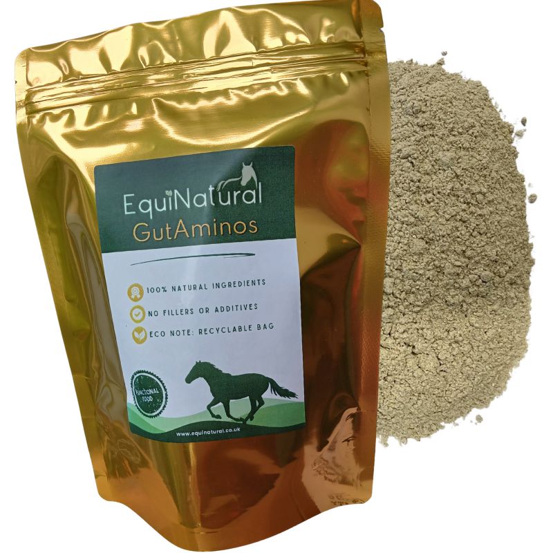GUTAMINOS for Horses | Gut Lining & Leaky Gut Support