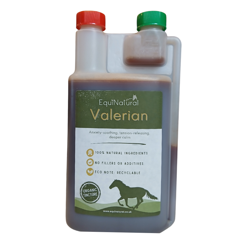 VALERIAN for Horses (Valeriana officinalis) | Deeper Calm for Nervous Horses ?OCTOBER SALE - 20%-OFF - USE CODE RESET20