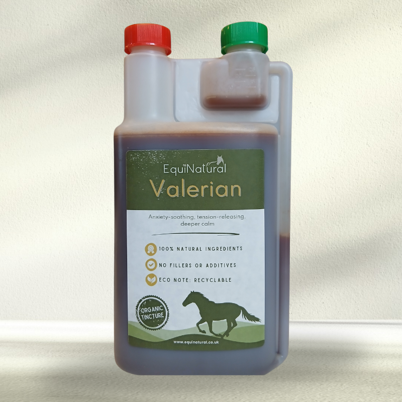 VALERIAN for Horses (Valeriana officinalis) | Deeper Calm for Nervous Horses ?OCTOBER SALE - 20%-OFF - USE CODE RESET20