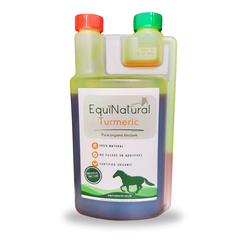 TURMERIC (Curcuma longa) ?JUNE SALE - 20%-OFF  *Organic herb for horses - daily support for inflammation, recovery, and whole-body balance