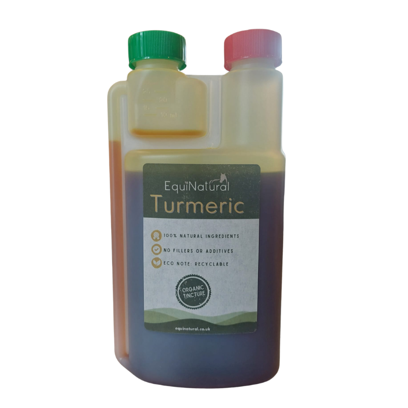 TURMERIC (Curcuma longa) ☀️JUNE SALE - 20%-OFF *Organic herb for horses - a versatile botanical for comfort, recovery, and everyday support