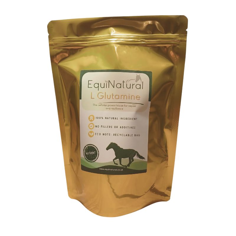 L GLUTAMINE for horses | Gut support, muscle recovery & intestinal health