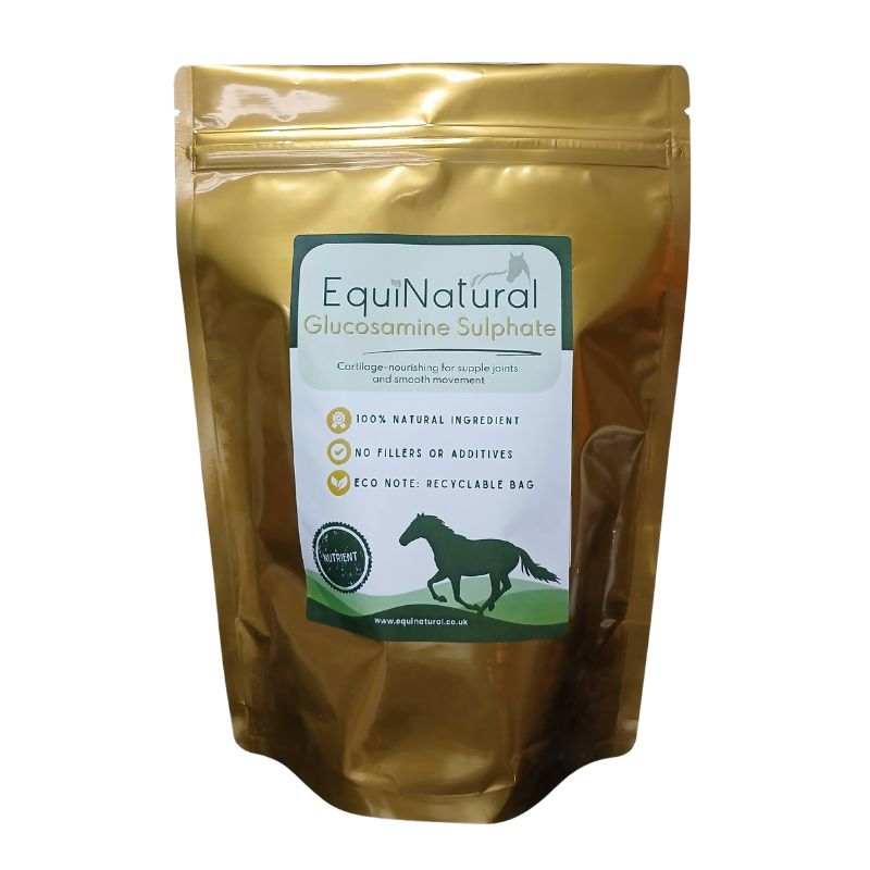 GLUCOSAMINE ☀️JUNE SALE - 20%-OFF *Nutrient for horses - daily support for cartilage, joint comfort, and ease of movement
