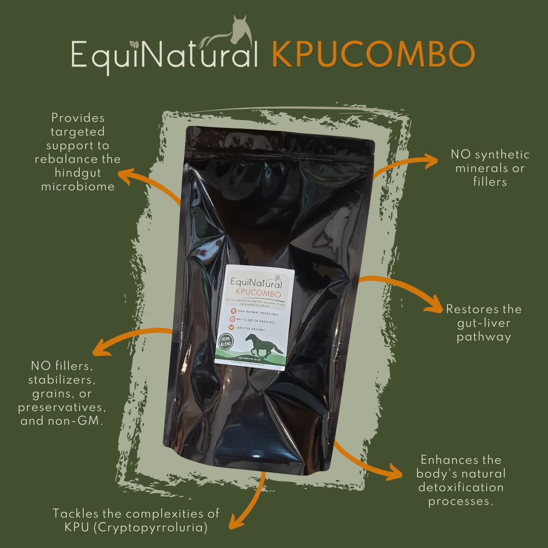 KPUCOMBO?MAY SALE - 20%-OFF *Organic Herbal Blend for Horses - a comprehensive 5-in-1 nutritional support for horses on the KPU spectrum