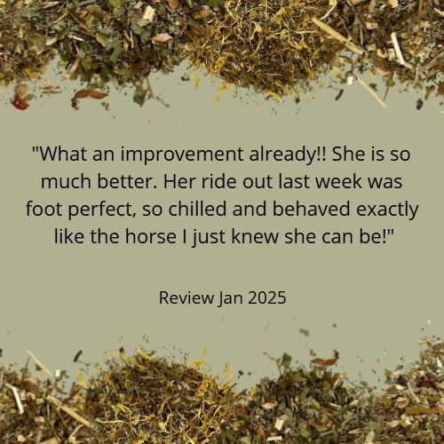 HARMONYTONIC for Horses | Organic Emotion-Restoring, Grief-Soothing Support ?OCTOBER SALE - 20%-OFF - USE CODE RESET20