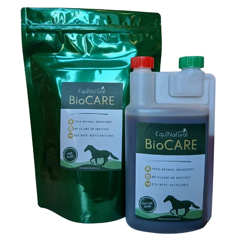 BIOCARE for Horses | Organic Support for Internal Cleansing, Microbial-Balancing, & Immunity-Steadying BIOCARE for Horses | Organic Support for Internal Cleansing, Microbial-Balancing, & Immunity-Steadying