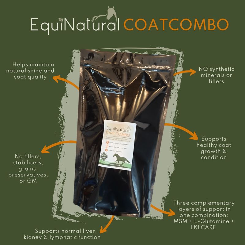 CoatCOMBO for Horses | Coat Change & Healthy Coat Support ?SEPTEMBER SALE - 20%-OFF - USE CODE SHIFT20 CoatCOMBO for Horses | Coat Change & Healthy Coat Support ?SEPTEMBER SALE - 20%-OFF - USE CODE SHIFT20