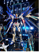 ZGMF X10A Freedom 6658