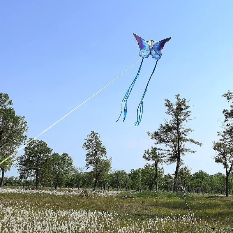 Couples Butterfly Kite