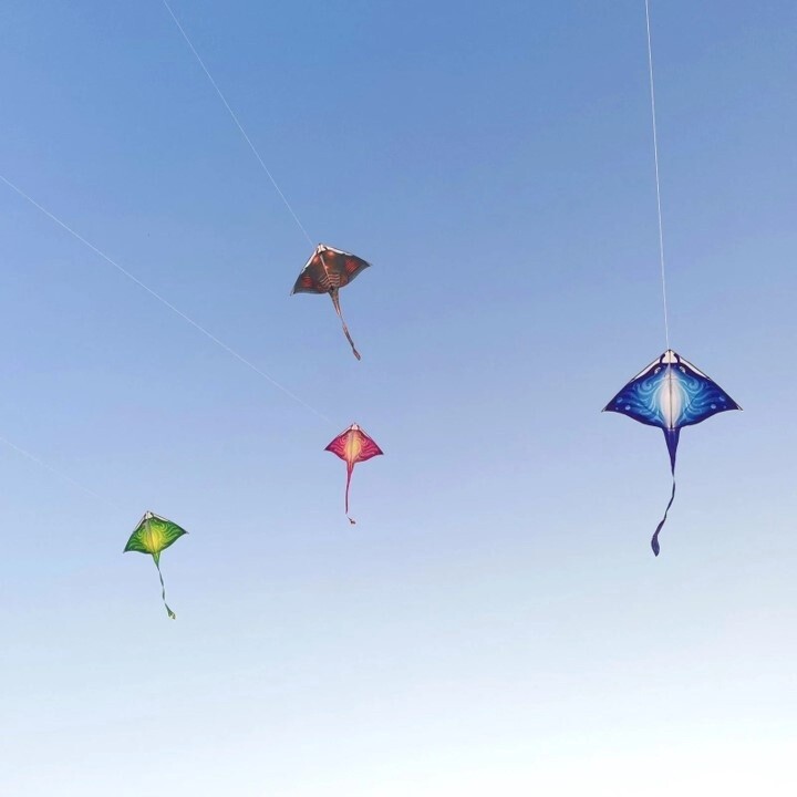 Manta Ray Kite(s)