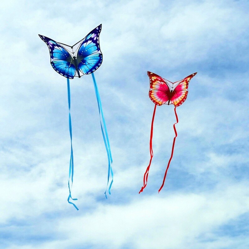 Butterfly Kite(s)