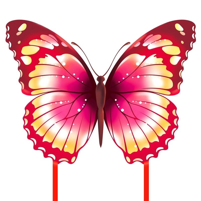 Butterfly Kite(s)