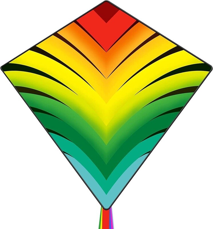 Rainbow Palm Leaf Kite