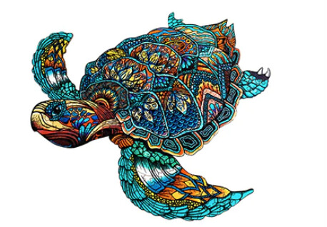 Resolute Turtle