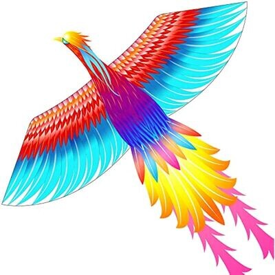 Kites