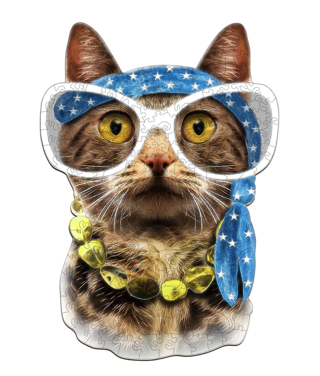 Modern Cat