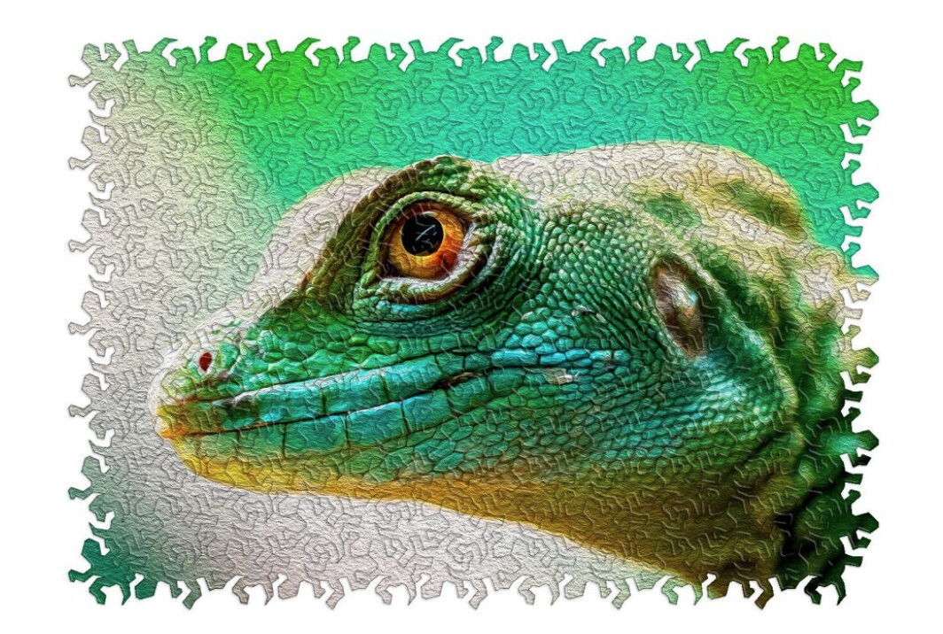 Determined Lizard (Wood Bests Puzzle)