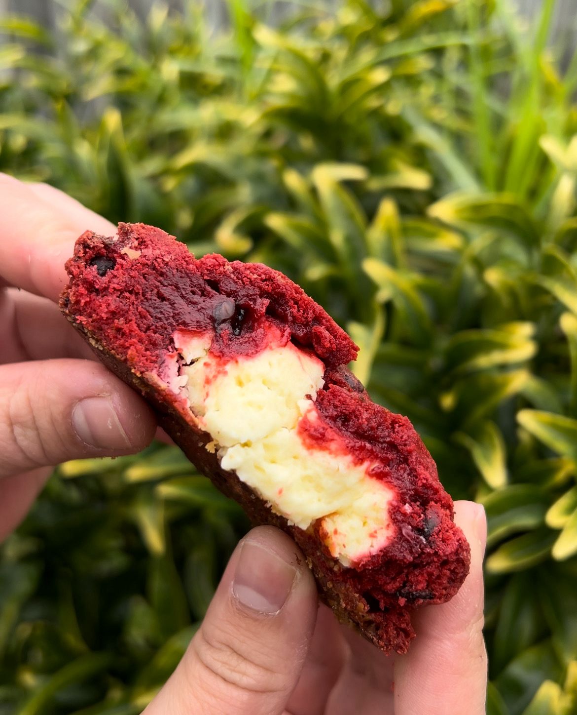 Red Velvet