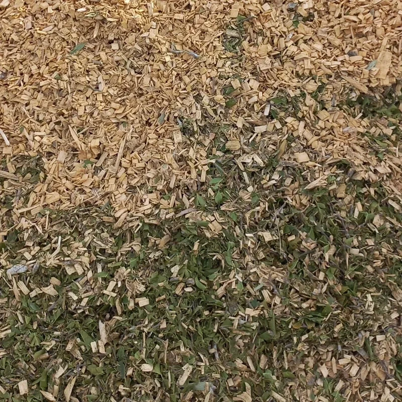 Forest Mulch